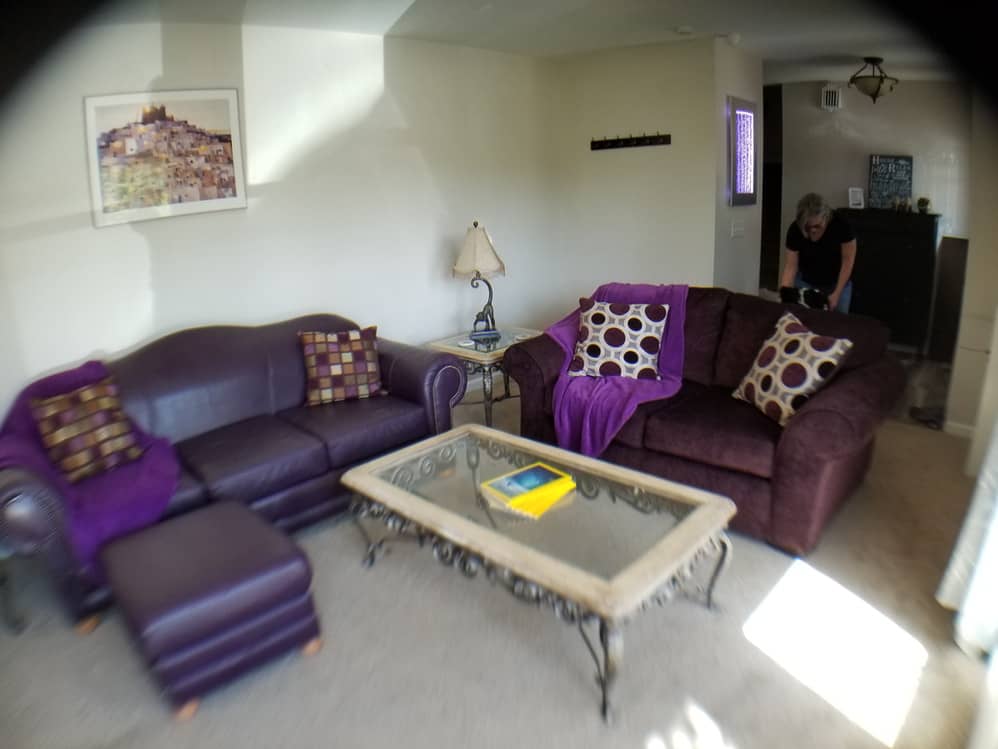 woman in a living room with purple sofas